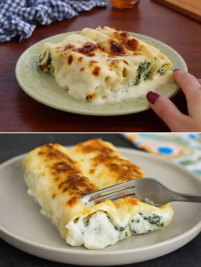 CRUD cannelloni s ricottou a špenátom na tanieri