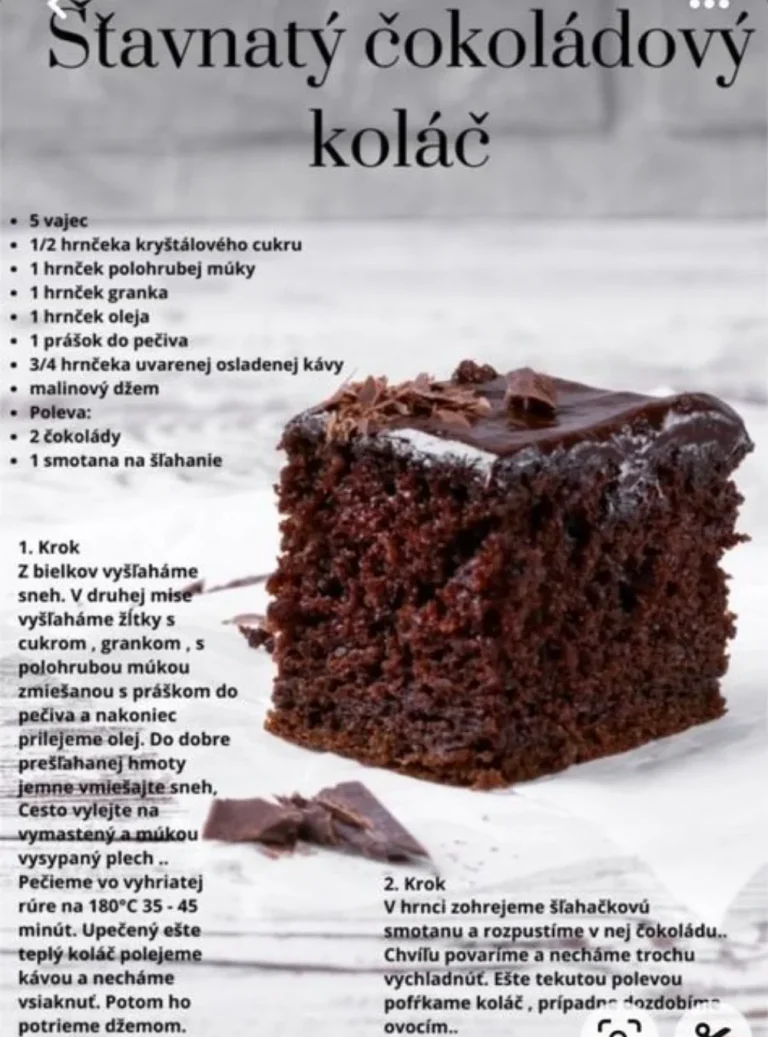 Vlhký čokoládový koláč s bohatou čokoládovou chuťou